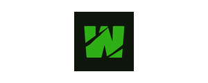 Wild Casino logo
